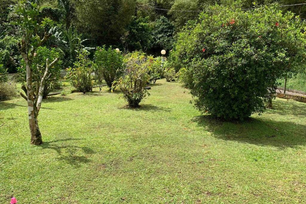 972B-Coin De Verdure Au Pied De La Montagne Pelee Le Morne-Rouge Bagian luar foto
