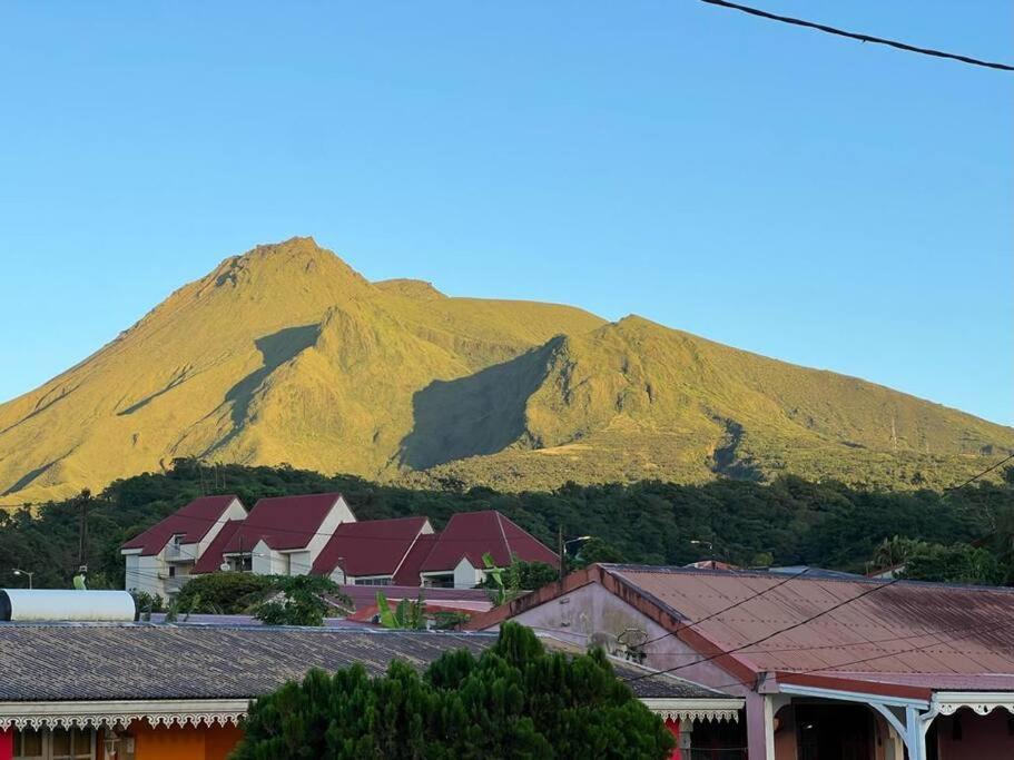 972B-Coin De Verdure Au Pied De La Montagne Pelee Le Morne-Rouge Bagian luar foto